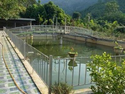 Bán Trang trại nghỉ dưỡng Vị trí: thôn đồng bằng .xã lương thịnh. Trấn yên. Yên bái