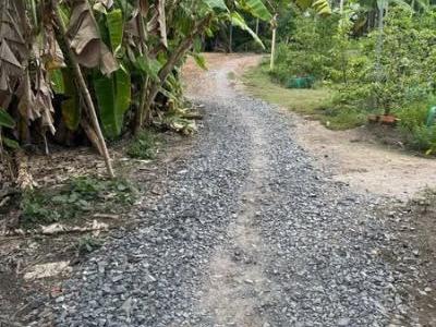 Bán nền Ấp Quang Minh, Quới An, Vũng Liêm, Vĩnh Long