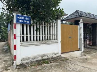 Mình có căn nhà cấp 4 diện tích 150m2 cần cho thuê tại Thôn đông- duy phiên - tam dương