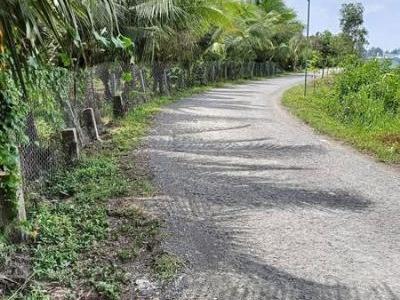 CẦN BÁN ĐẤT DIỆN TÍCH 2500M - 400 THỔ CƯ BÁN KÍNH 500M  XÃ MỸ THẠNH TRUNG- TAM BÌNH VĨNH LONG
