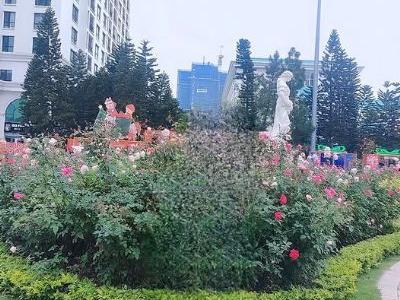 Cho thuê nhà 5 tầng 3 ngủ ở ngõ 19 Mai Động, Hoàng Mai. 10tr