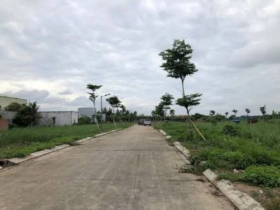 CẦN BÁN ĐẤT NHỊ THÀNH, LONG AN GIÁ RẺ – 100% THỔ CƯ, CÔNG CHỨNG NGAY, SỔ HỒNG RIÊNG