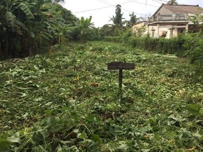 Ra nền nhanh ở Ngã Cái, Định Hoà thích hợp xây cất nhà nghỉ dưỡng , đầu tư sinh lời