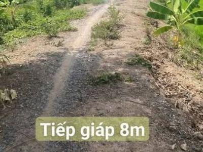 CẦN BÁN LÔ ĐẤT THUỘC XÃ BÌNH TẤN, THANH BÌNH.