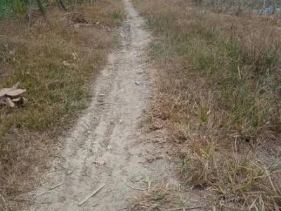 Cần bán gần 8000m2 đất lúa đang làm rẫy Đất thuộc xã Tân Phú, Thanh bình