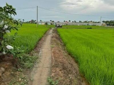 1207 m2 đất lúa thuộc ấp 2, Xã Phước Tuy, Cần đước
