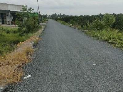 Bán 6 công đất ruộng mặt tiền lộ nhựa Đc: xã Tân Thành huyện Bình Tân Vĩnh long