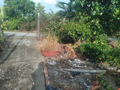 Cần bán đất ngang 5m dài 61m thổ Cư 80 m Tân thành, Hòa thành, Lai vung đồng tháp
