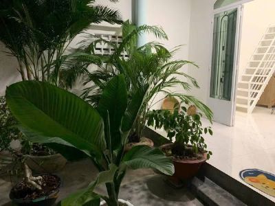 Cho thuê nhà nguyên căn hẻm củ chi