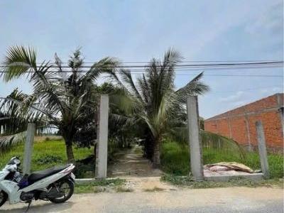 BÁN 4,6 CÔNG ĐẤT - RẠCH BỜ AO - GẦN CẦU ĐỨC THÀNH 4 - PHÚ THUẬN - THOẠI SƠN.