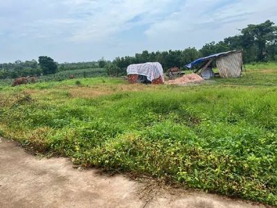 Cần bán 188m thổ cư 80m sổ riêng thổ cư Tại Đá Bạc châu Đức Bà Rịa Vũng Tàu