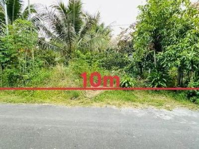 Đất thổ cư có vườn cây ăn trái mặt tiền đường Thành Hồ Diên Phước, ( Diên Thọ mới )