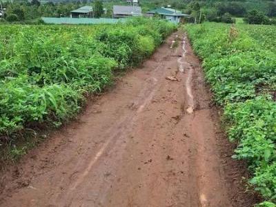Bán 2.000m2 ngay hẻm 1300 vào gần vị trí điểm lên xuông cao tốc Quy Nhơn- Pleiku