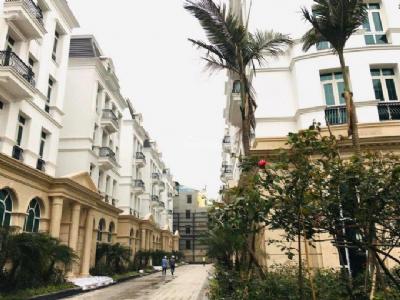 BIỆT THỰ SIÊU VIP DÀNH CHO GIỚI NHÀ GIÀU GIẢNG VÕ - BA ĐÌNH, DT TỪ 137.5-239M2