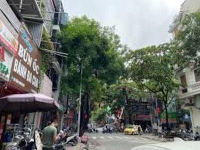 Chỗ thuê nhà nguyên căn phường Trần Hưng Đạo