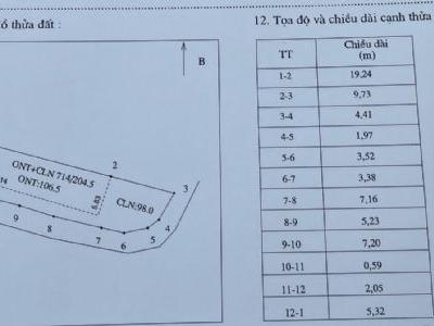 Cực rẻ đất Lạng Giang sát ngã 3,4 đường QH4 & đường 295, Rùa Vàng City DT 204.5m2 giá chỉ 1.25tỷ