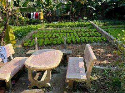 CHÍNH CHỦ GỬI BÁN Tân Ninh - Tân Dân - Sóc Sơn - HN Diện tích: 83 m2 Mặt tiền = mặt hậu: 5m