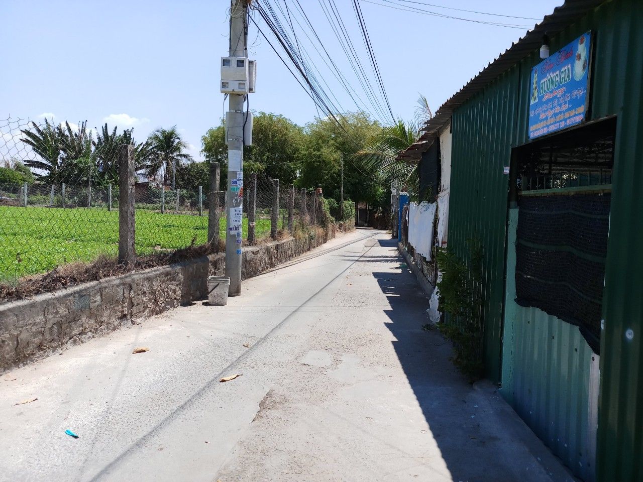 BÁN LÔ ĐẤT 300M2(15×20)CLN P.Mỹ Hải,sau này tách ra 3 lô bán lời khẩm! xung quanh đã có nhà cố định