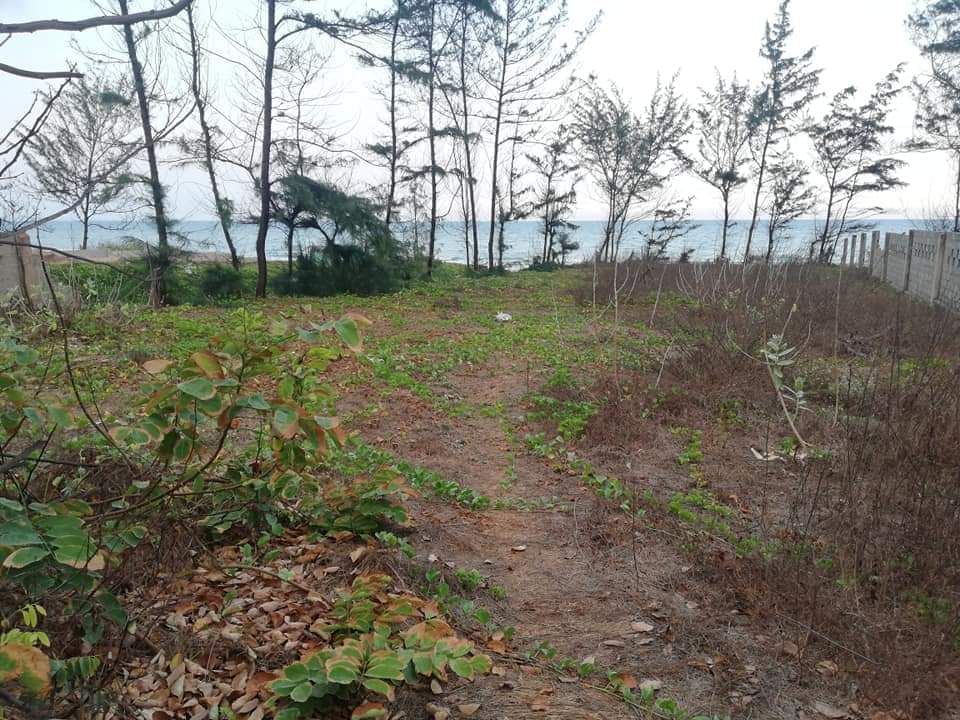 Bán Nhanh Lô Đất View Biển 557m2, Thôn Tiến Phú , Xã Tiến Thành , Tp. Phan Thiết.