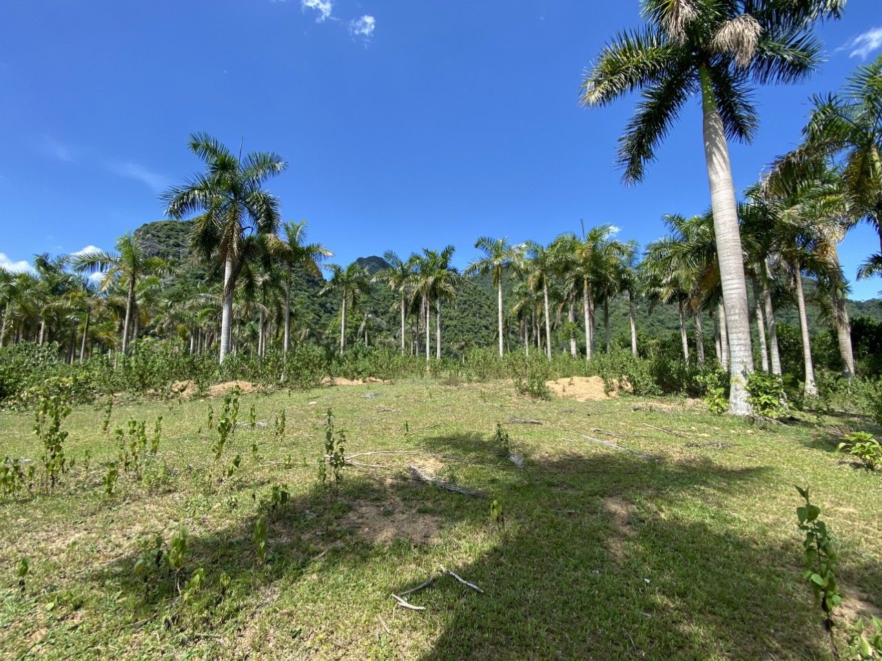 VIEW HỒ TUYỆT ĐỈNH TẠI KIM BÔI - HÒA BÌNH 9700M2