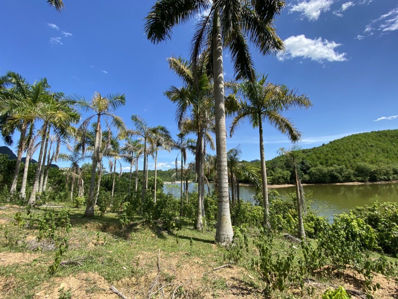 VIEW HỒ TUYỆT ĐỈNH TẠI KIM BÔI - HÒA BÌNH 9700M2