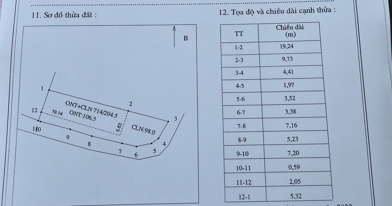 Cực rẻ đất Lạng Giang sát ngã 3,4 đường QH4 & đường 295, Rùa Vàng City DT 204.5m2 giá chỉ 1.25tỷ
