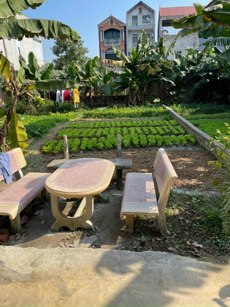 CHÍNH CHỦ GỬI BÁN Tân Ninh - Tân Dân - Sóc Sơn - HN Diện tích: 83 m2 Mặt tiền = mặt hậu: 5m