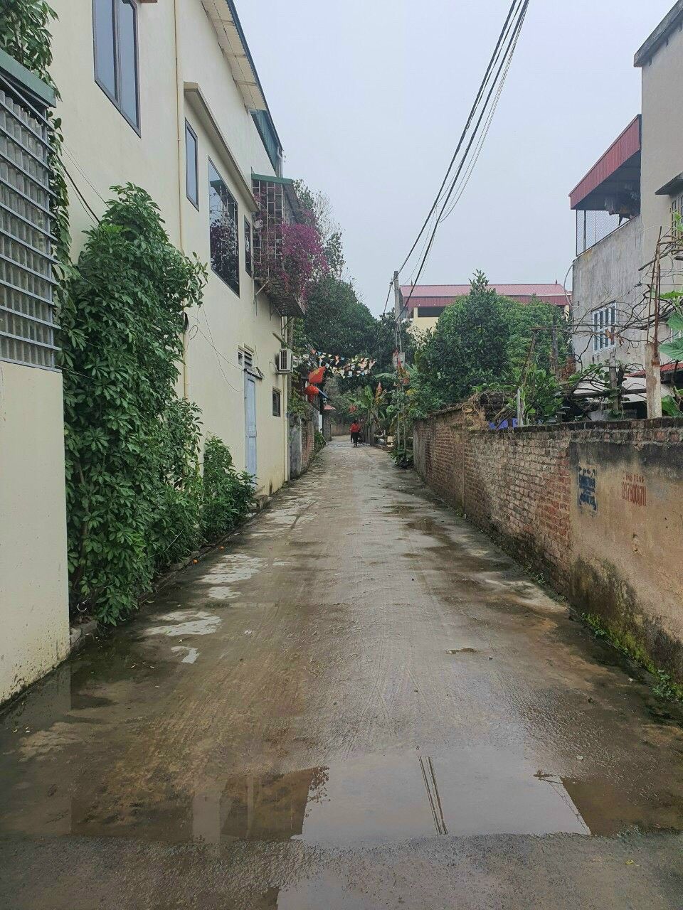 CHÍNH CHỦ GỬI BÁN Tân Ninh - Tân Dân - Sóc Sơn - HN Diện tích: 83 m2 Mặt tiền = mặt hậu: 5m