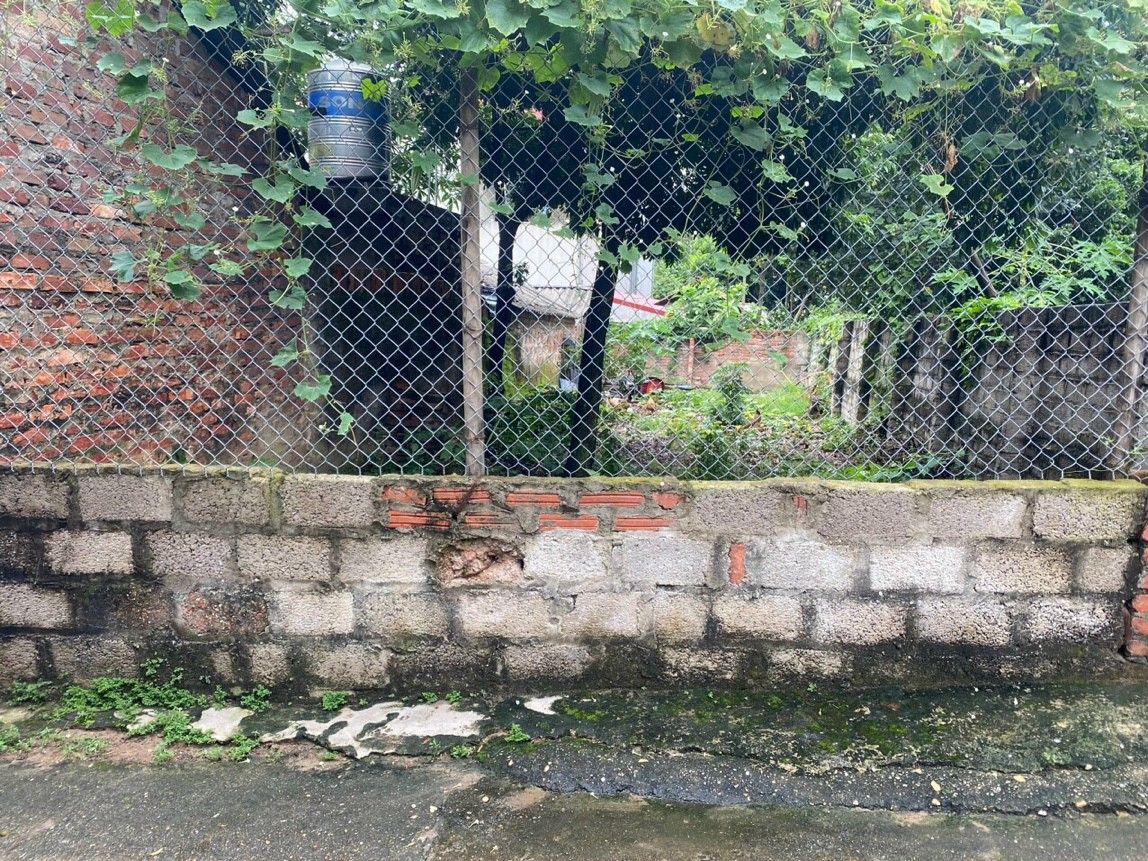 Cần bán nhanh lô 100m² Nam Cương - Hiền Ninh, cách trục chính 20m, ngõ thông đường ôtô.