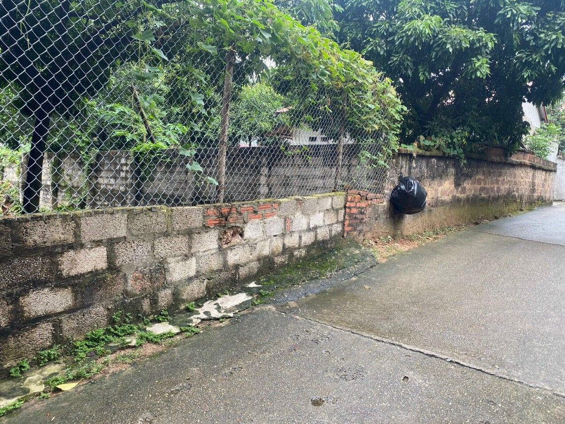 Cần bán nhanh lô 100m² Nam Cương - Hiền Ninh, cách trục chính 20m, ngõ thông đường ôtô.