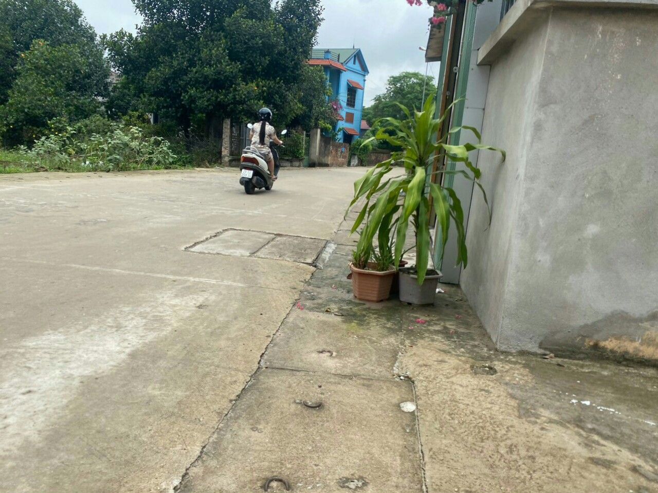 Cần bán nhanh lô 100m² Nam Cương - Hiền Ninh, cách trục chính 20m, ngõ thông đường ôtô.