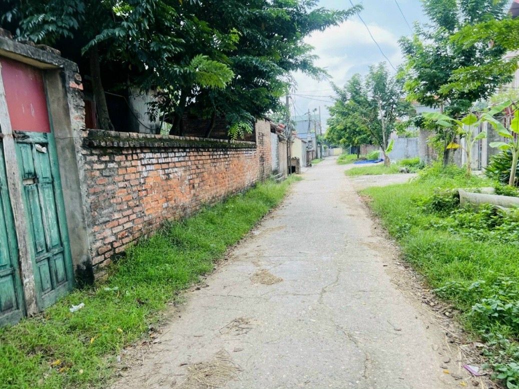 Bán siêu phẩm bìa làng hiên lương hiền ninh giá chỉ hơn 10tr BÌA ĐỒNG ĐƯỜNG RỘNG 6M THÔNG TỨ PHÍA