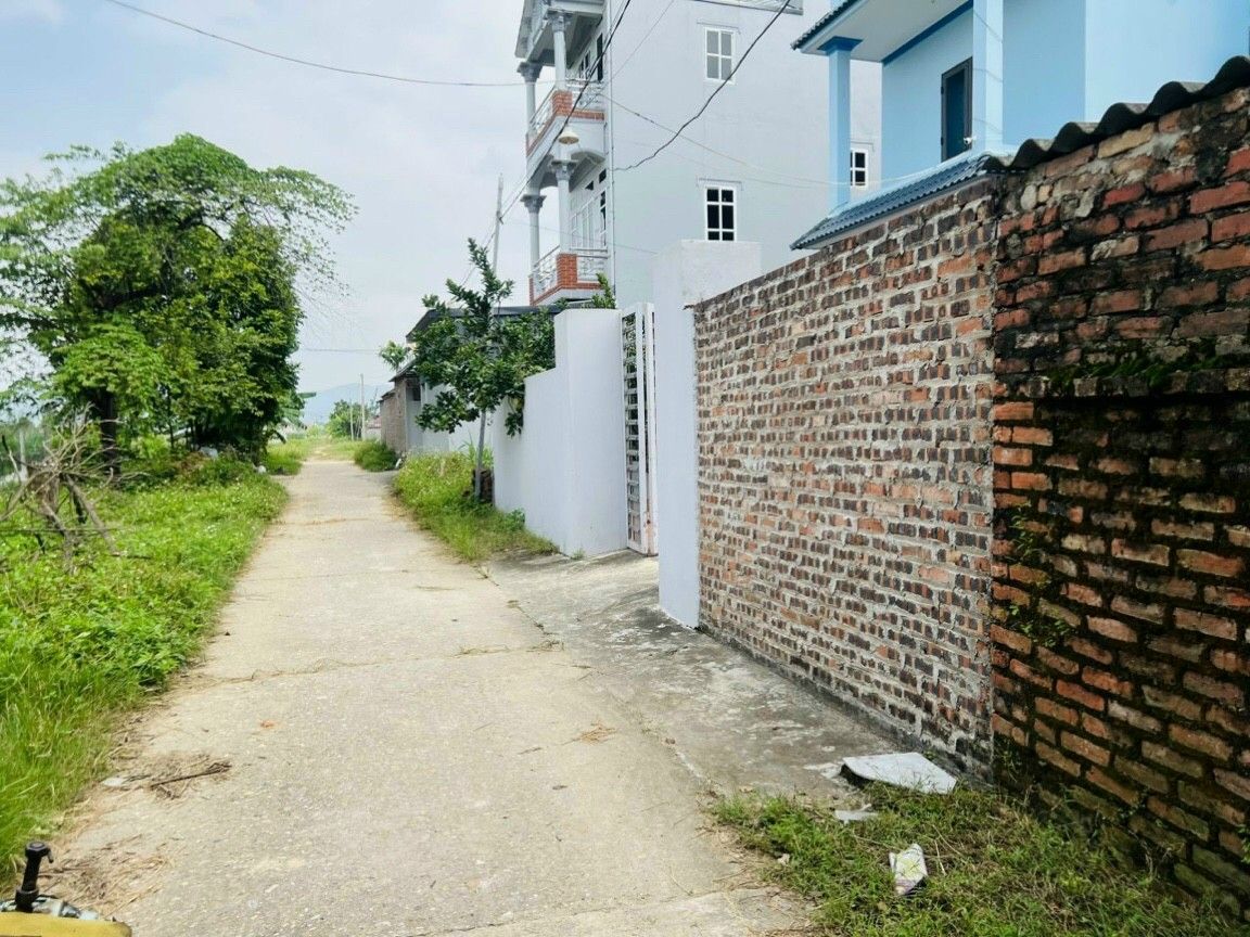 Bán siêu phẩm bìa làng hiên lương hiền ninh giá chỉ hơn 10tr BÌA ĐỒNG ĐƯỜNG RỘNG 6M THÔNG TỨ PHÍA