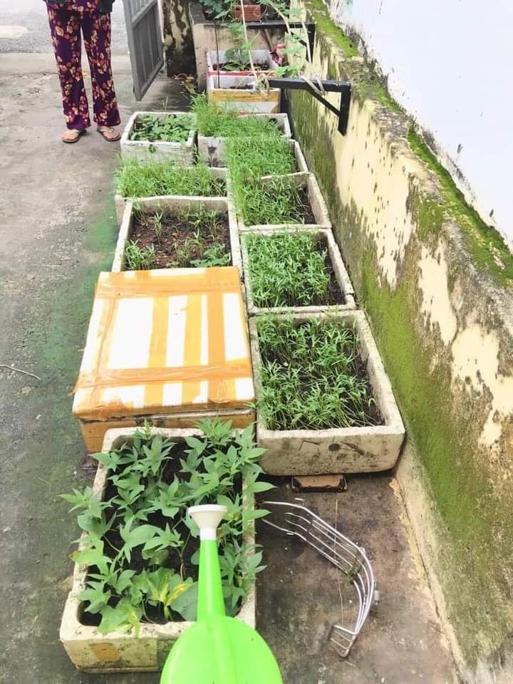 BỐ MẸ CHUYỂN VỀ QUÊ SINH SỐNG NÊN CẦN BÁN GẤP CĂN NHÀ CẤP 4 NHƯ HÌNH TẠI BÌNH CHÁNH TPHCM