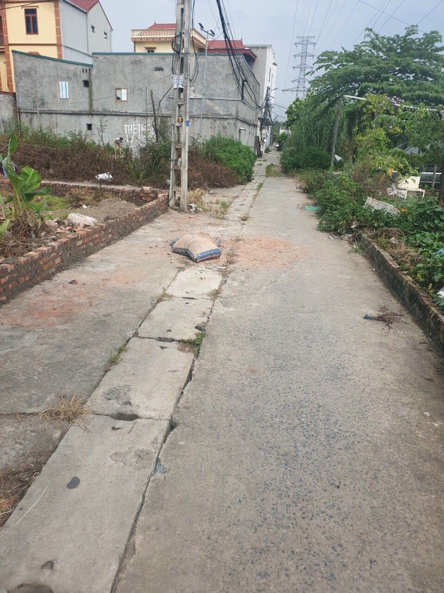 Chính chủ cần tiền bán gấp lô góc 65.8m2 Ngay cổng C KCN Bắc Thăng long