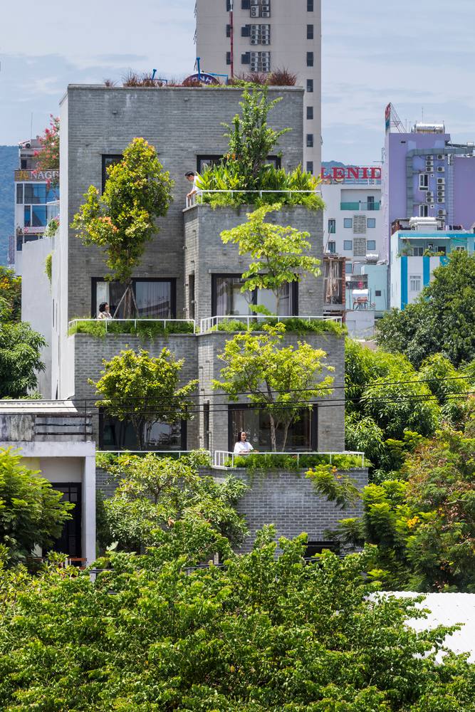 "Làng hoà bình xanh" giữa lòng Đà Nẵng1