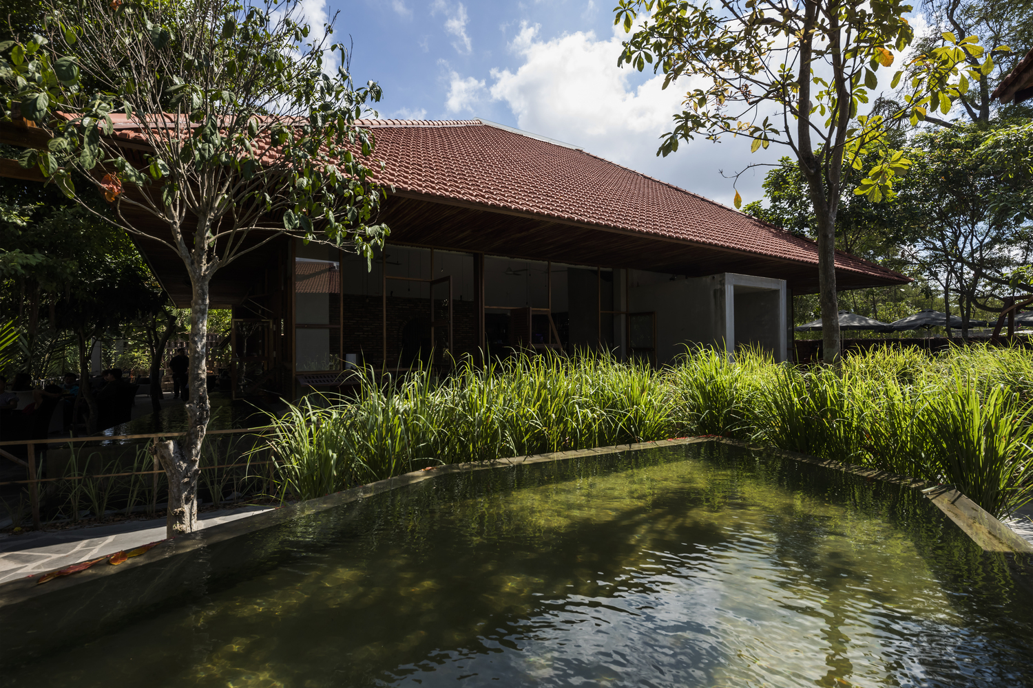 Thuỷ Viên Coffee Shop – Thiết kế mô phỏng sóng nước mặt hồ giữa thiên nhiên2