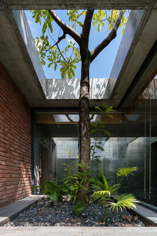 Bố xây nhà cho con 'thô mộc nhất có thể'10