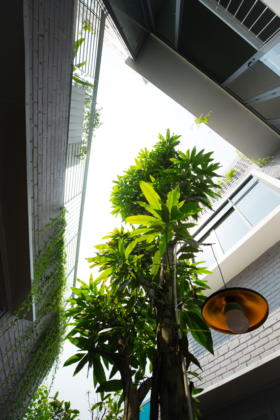 Nhà Đà Nẵng như 'tứ hợp viện'7