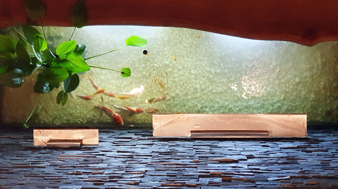 Nhà vát góc để nhìn ra vườn của bố mẹ10