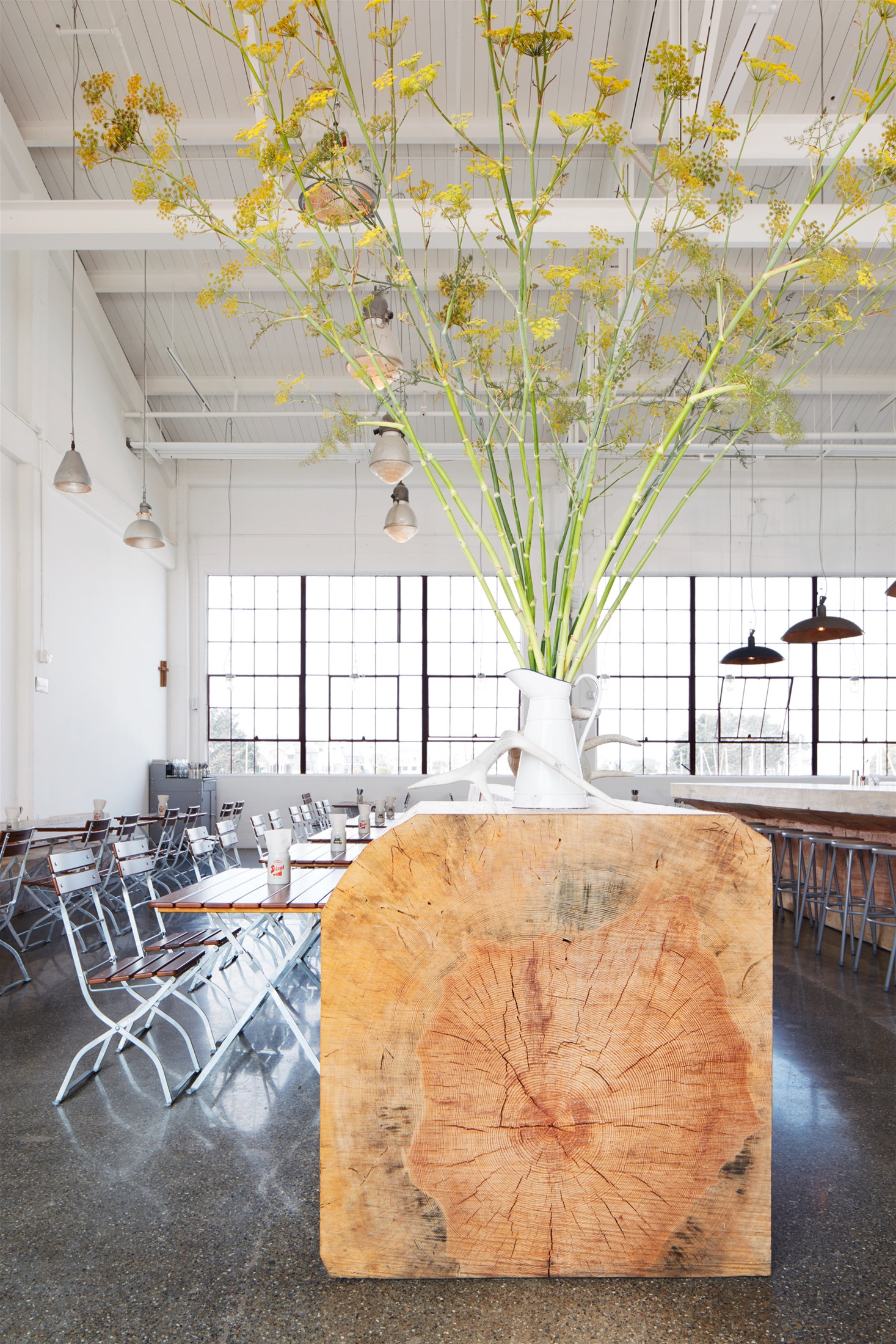 Những thân cây lớn được tạo thành quầy bar và băng ghế độc đáo trong nhà hàng ở San Francisco4