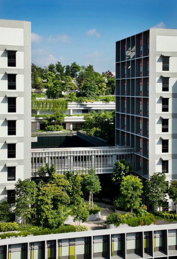 Khu chung cư phức hợp với công viên cây xanh trên mái ở Singapore10