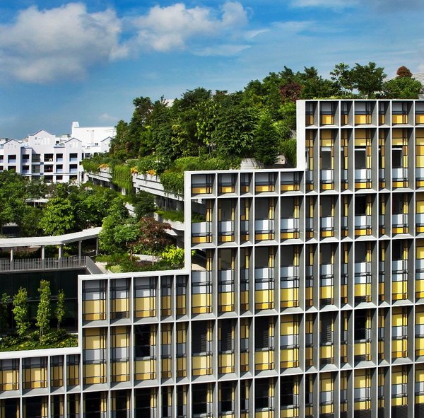 Khu chung cư phức hợp với công viên cây xanh trên mái ở Singapore11
