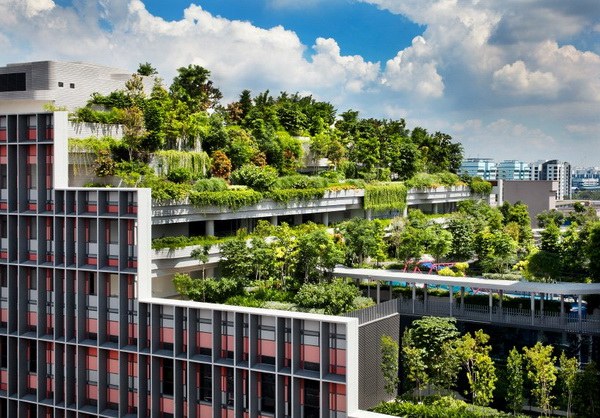 Khu chung cư phức hợp với công viên cây xanh trên mái ở Singapore3