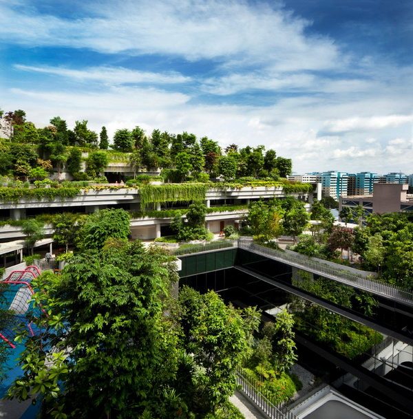 Khu chung cư phức hợp với công viên cây xanh trên mái ở Singapore4