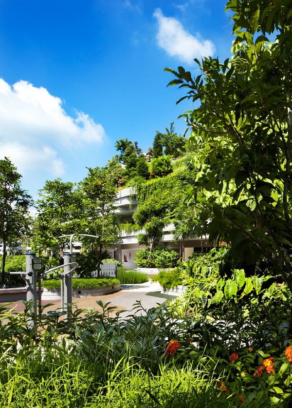 Khu chung cư phức hợp với công viên cây xanh trên mái ở Singapore7