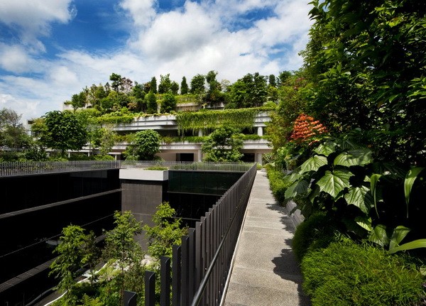 Khu chung cư phức hợp với công viên cây xanh trên mái ở Singapore8