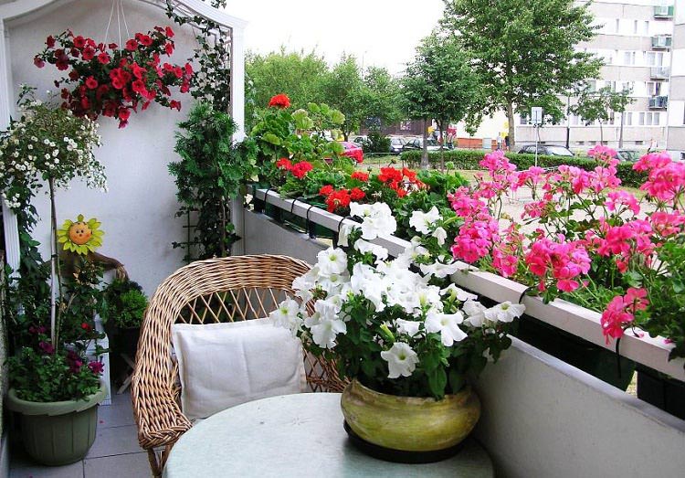 Thiết kế tiểu cảnh ban công chung cư đẹp - Mẫu 3