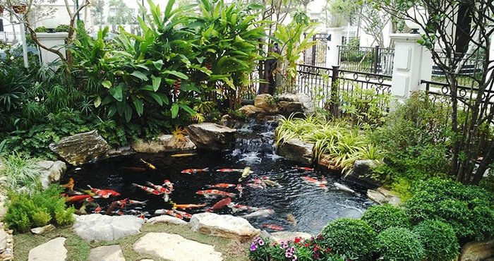 Hệ thống lọc hồ cá koi trong thi công tiểu cảnh sân vườn 1
