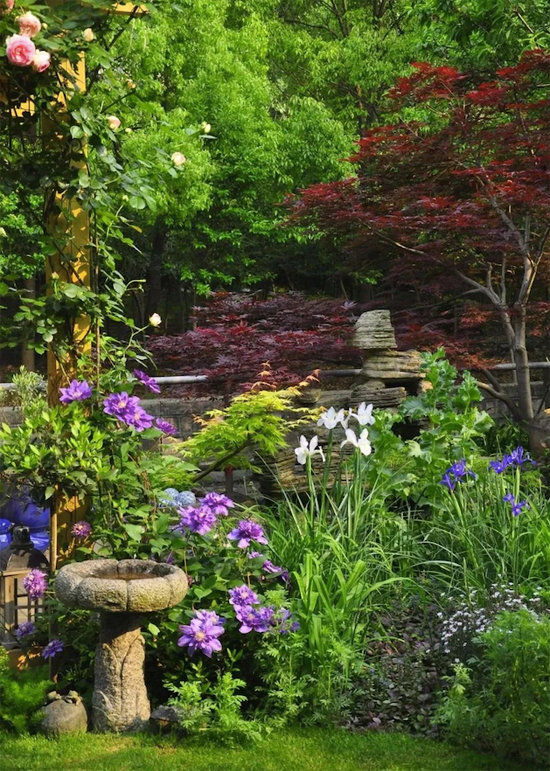 Khu vườn của người phụ nữ ở ẩn từ tuổi 404